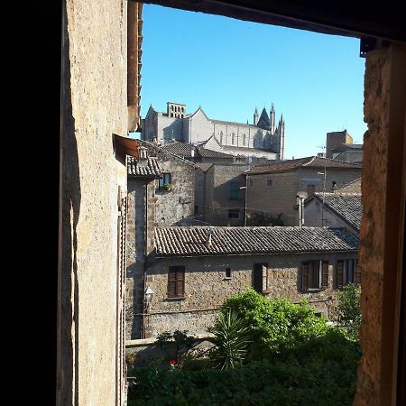 Orvieto House公寓 外观 照片