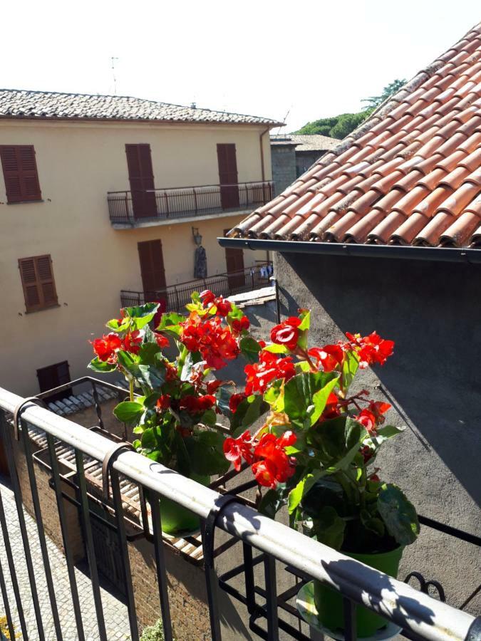 Orvieto House公寓 外观 照片